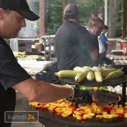 Arteflame Foodsaver Für One 20 Air -WEBER Verkäufe arteflame foodsaver fuer one 20 air 21030 m 3