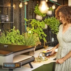 Cozze Pizzaschneider 9 Cozze Pizzaschneider -WEBER Verkäufe cozze pizzaschneider 24579 m 3