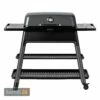 Everdure FURNACE™ Gasgrill Graphite Mit Doppelboden