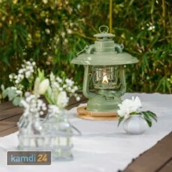 Feuerhand Reflektorschirm Für Baby Special 276 Sage Green -WEBER Verkäufe feuerhand reflektorschirm fuer baby special 276 sage green 25498 m 2