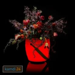 JOOULS The JOOULY Bowl Ltd. Getränkekühler Mit Bluetooth-Lautsprecher Und LED-Beleuchtung - Wabenstruktur 15 JOOULS The JOOULY Bowl Ltd. Getränkekühler Mit Bluetooth-Lautsprecher Und LED-Beleuchtung - Wabenstruktur -WEBER Verkäufe joouls the joouly bowl ltd getraenkekuehler mit bluetooth lautsprecher und led beleuchtung wabenstruktur 22240 m 4