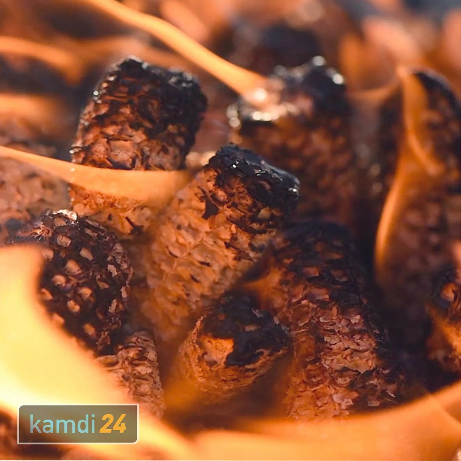 Maister BBQ Grillkolben 6er-Pack (18 Kg) 4 Maister BBQ Grillkolben 6er-Pack (18 Kg) – Bild 4