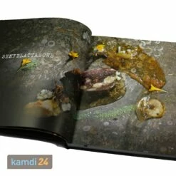 MONOLITH Buch ASCHE, Glut & Feuer 15 MONOLITH Buch ASCHE, Glut & Feuer -WEBER Verkäufe monolith buch asche glut feuer 24494 m 4