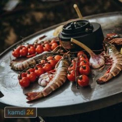 MONOLITH Feuerplatte Für CLASSIC -WEBER Verkäufe monolith feuerplatte fuer classic m 3