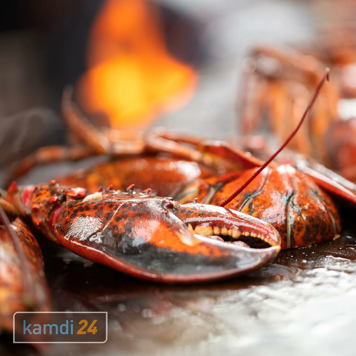 OFYR Classic Storage Corten 100 Grill & Feuerstelle 9 OFYR Classic Storage Corten 100 Grill & Feuerstelle – Bild 9