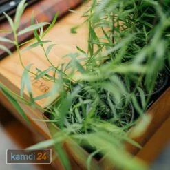 OFYR Island Corten 100 Grill & Feuerstelle Mit Arbeitsplatte Teakholz -WEBER Verkäufe ofyr island corten 100 grill feuerstelle mit arbeitsplatte teakholz 22230 m 5