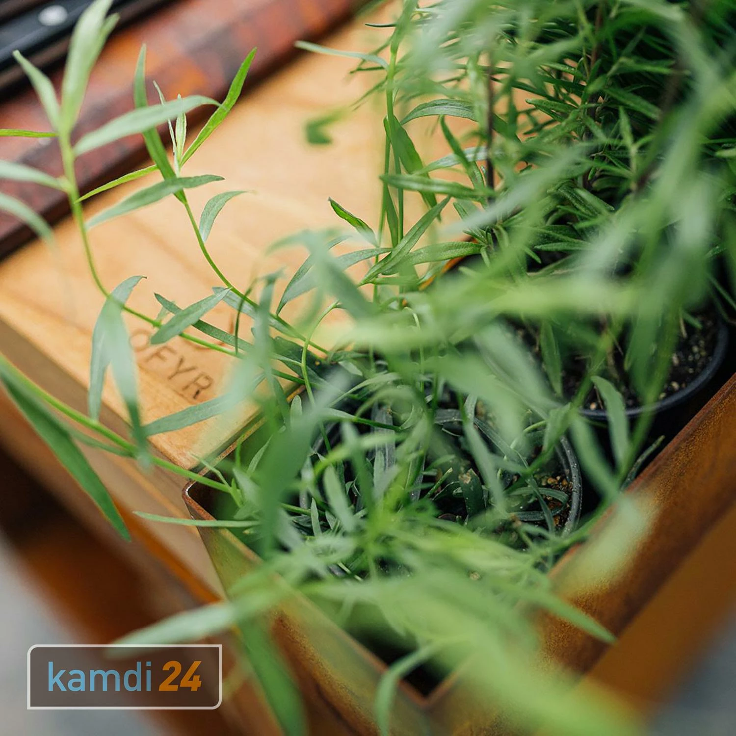 OFYR Island Corten 100 PRO Grill & Feuerstelle Mit Arbeitsplatte Teakholz 6 OFYR Island Corten 100 PRO Grill & Feuerstelle Mit Arbeitsplatte Teakholz – Bild 6