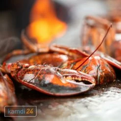 OFYR Island Corten 85 Grill & Feuerstelle Mit Arbeitsplatte Keramik 15 OFYR Island Corten 85 Grill & Feuerstelle Mit Arbeitsplatte Keramik -WEBER Verkäufe ofyr island corten 85 grill feuerstelle mit arbeitsplatte keramik m 3