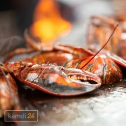 OFYR XL Corten 150 Grill & Feuerstelle -WEBER Verkäufe ofyr xl corten 150 grill feuerstelle m 7