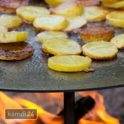 Petromax Grill- Und Feuerschale Fs48 21 Petromax Grill- Und Feuerschale Fs48 -WEBER Verkäufe petromax grill und feuerschale fs48 14626 m 9