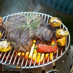 Petromax Grillrost Für Atago 14 Petromax Grillrost Für Atago -WEBER Verkäufe petromax grillrost fuer atago 17270 m 5