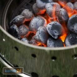 Petromax Kohlerost Für Atago 7 Petromax Kohlerost Für Atago -WEBER Verkäufe petromax kohlerost fuer atago 17253 m 3