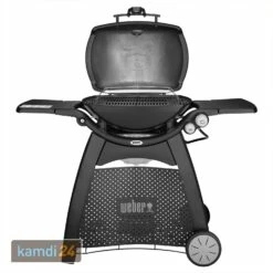 Weber Q 3200 Gasgrill Mit Rollwagen Inkl. Hitzeschild Und Bratenrost -WEBER Verkäufe weber q 3200 gasgrill mit rollwagen inkl hitzeschild und bratenrost 25555 m 2