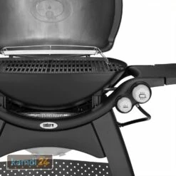 Weber Q 3200 Gasgrill Mit Rollwagen Inkl. Hitzeschild Und Bratenrost -WEBER Verkäufe weber q 3200 gasgrill mit rollwagen inkl hitzeschild und bratenrost 25555 m 5