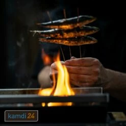 Yakiniku Shichirin Keramik Grill Eckig 35x17 Cm -WEBER Verkäufe yakiniku keramik grill shichirin eckig 35x17 cm m 9